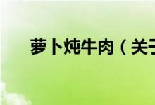 萝卜炖牛肉（关于萝卜炖牛肉的介绍）