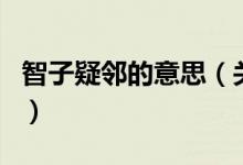 智子疑邻的意思（关于智子疑邻的意思的介绍）