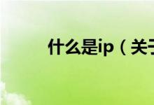 什么是ip（关于什么是ip的介绍）