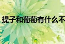 提子和葡萄有什么不同（提子和葡萄的区别）