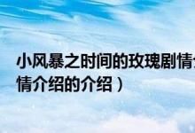 小风暴之时间的玫瑰剧情介绍（关于小风暴之时间的玫瑰剧情介绍的介绍）