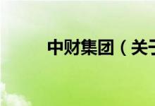 中财集团（关于中财集团的介绍）