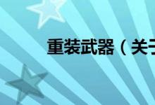 重装武器（关于重装武器的介绍）