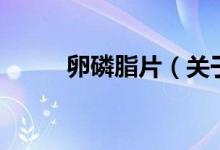 卵磷脂片（关于卵磷脂片的介绍）