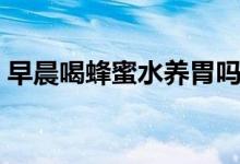 早晨喝蜂蜜水养胃吗（蜂蜜水养胃还是伤胃）