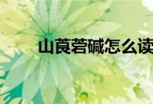 山莨菪碱怎么读（山莨菪碱是什么）
