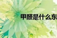 甲醛是什么东西（甲醛的解释）