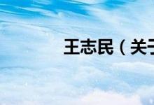 王志民（关于王志民的介绍）