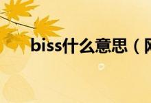 biss什么意思（网络语biss什么意思）