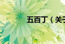 五百丁（关于五百丁的介绍）