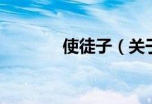 使徒子（关于使徒子的介绍）