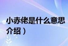 小赤佬是什么意思（关于小赤佬是什么意思的介绍）