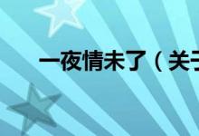 一夜情未了（关于一夜情未了的介绍）