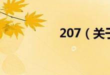 207（关于207的介绍）