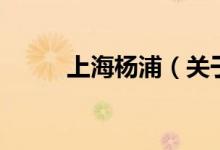 上海杨浦（关于上海杨浦的介绍）