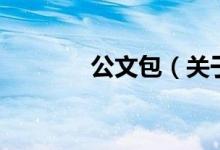 公文包（关于公文包的介绍）