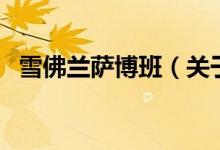 雪佛兰萨博班（关于雪佛兰萨博班的介绍）