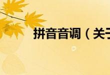拼音音调（关于拼音音调的介绍）