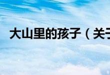 大山里的孩子（关于大山里的孩子的介绍）
