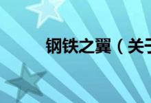 钢铁之翼（关于钢铁之翼的介绍）