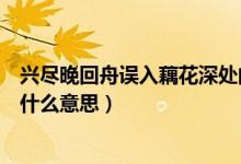 兴尽晚回舟误入藕花深处的意思（兴尽晚回舟误入藕花深处什么意思）