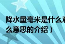 降水量毫米是什么意思（关于降水量毫米是什么意思的介绍）