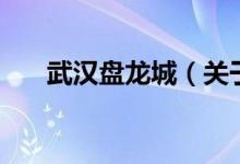 武汉盘龙城（关于武汉盘龙城的介绍）