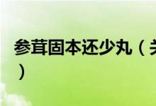 参茸固本还少丸（关于参茸固本还少丸的介绍）