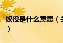 奴役是什么意思（关于奴役是什么意思的介绍）