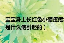 宝宝身上长红色小硬疙瘩怎么回事（宝宝身上起硬的红疙瘩是什么病引起的）