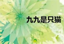 九九是只猫(九九是什么节)