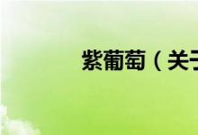 紫葡萄（关于紫葡萄的介绍）