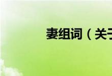 妻组词（关于妻组词的介绍）