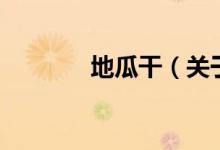 地瓜干（关于地瓜干的介绍）