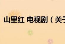山里红 电视剧（关于山里红 电视剧的介绍）
