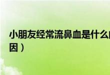 小朋友经常流鼻血是什么问题（小朋友经常流鼻血是什么原因）