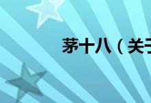 茅十八（关于茅十八的介绍）