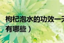枸杞泡水的功效一天吃几颗（枸杞泡水的功效有哪些）