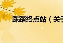 踩踏终点站（关于踩踏终点站的介绍）