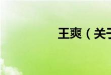 王爽（关于王爽的介绍）