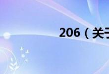206（关于206的介绍）