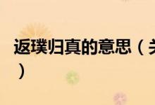 返璞归真的意思（关于返璞归真的意思的介绍）