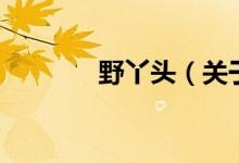 野丫头（关于野丫头的介绍）