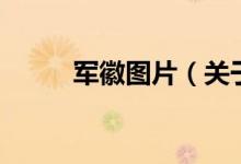 军徽图片（关于军徽图片的介绍）