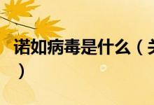 诺如病毒是什么（关于诺如病毒是什么的介绍）