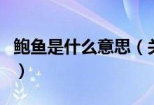 鲍鱼是什么意思（关于鲍鱼是什么意思的介绍）