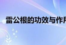 雷公根的功效与作用（雷公根有什么功效）