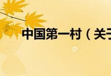 中国第一村（关于中国第一村的介绍）