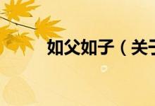 如父如子（关于如父如子的介绍）