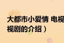 大都市小爱情 电视剧（关于大都市小爱情 电视剧的介绍）
